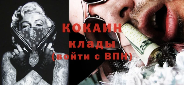 гидропоника Коряжма