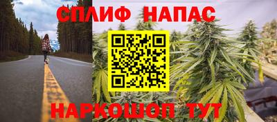 mdma Камышлов