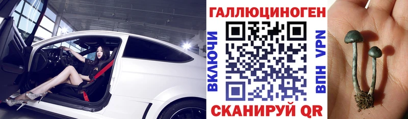 Псилоцибиновые грибы Cubensis  что такое   Петровск 