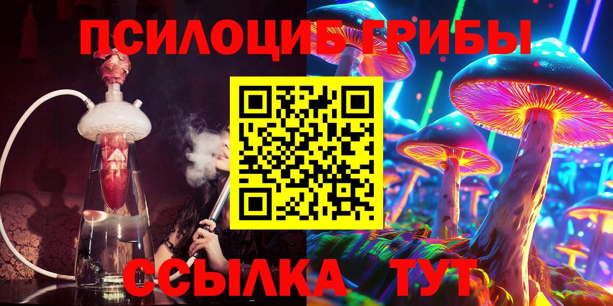 Псилоцибиновые грибы MAGIC MUSHROOMS  Петровск  Псилоцибиновые грибы Cubensis 