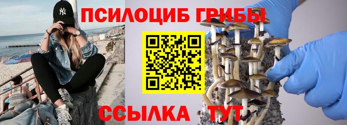 Псилоцибиновые грибы мухоморы  Вход с VPN  Петровск  Галлюциногенные грибы GOLDEN TEACHER 